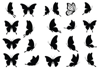 Silhouette of butterflies in various poses isolated on white background a collection of black vector designs for decoration and graphic elements
