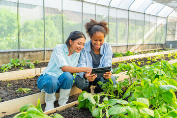Young smart farmer teamwork learn organic farming recording plant growth on digital tablet in greenhouse garden. Happy diverse teenage girl growing and caring lettuce vegetables in agriculture farm.