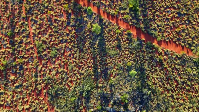 Aerial view of the vivid red desert landscape interspersed with green vegetation and a distinct red path cutting through, Ayers Rock, Northern Territory, Australia.