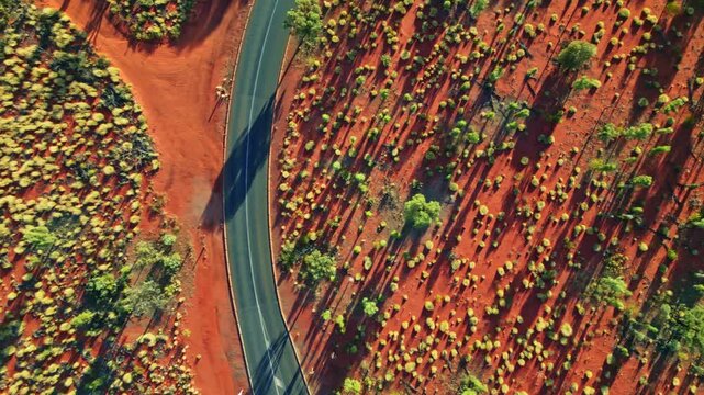 Aerial view of a winding asphalt road cutting through the vibrant red earth and sparse greenery of the Australian outback, Ayers Rock, Northern Territory, Australia.