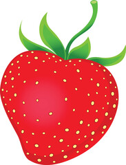 vector illustration of strawberry