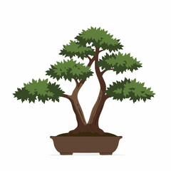 Lush Green Bonsai Tree in Brown Pot, Double Trunk, Detailed Foliage