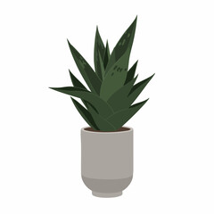 Stylish Potted Snake Plant with Dark Green Leaves