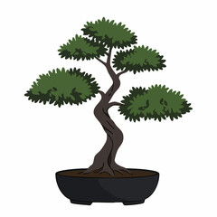 Serene Bonsai Tree with Twisted Trunk and Lush Foliage