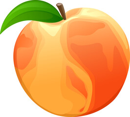 vector illustration of peach