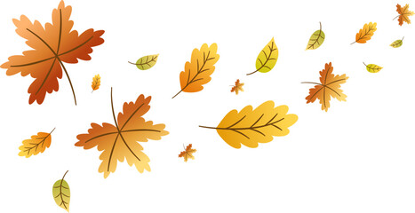 Obraz premium Falling autumn leaves vector