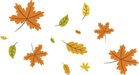 Falling autumn leaves vector
