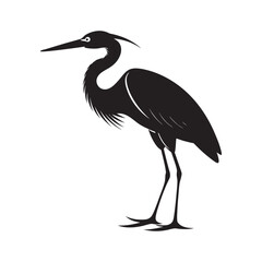 A large black heron and a small black bird stand side by side against a white background
