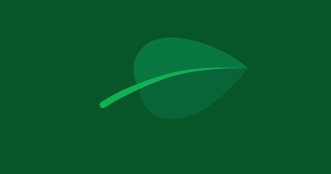 Cartoon green leaf grow waving isolated. Business style plant tree element growing  good for explainer. Flat vector simple business style infographic animation video for film presentation scene.