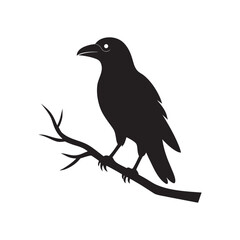 A striking black silhouette of a raven perched on a bare branch against a crisp white background