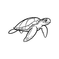 Obraz premium A striking still image of a turtle: its steady motion and sturdy shell bring this image to life.