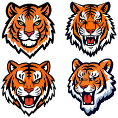 tiger on white background