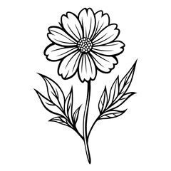 Vector art of black and white outline of a daisy flower isolated on white background