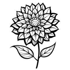 Vector art of black and white dahlia flower isolated on white background