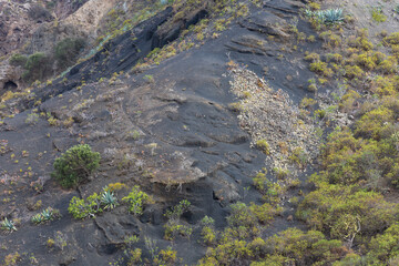 Caldera de Bandama Gran Canaria Spain - nature reserve after volcanic eruption