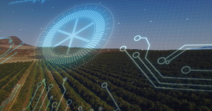 Displaying vineyard field featuring parallel vine rows at rural farm, with digital HUD overlay
