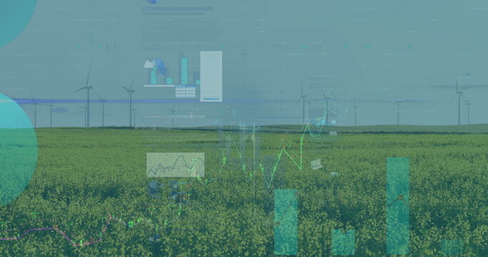 Displaying translucent data graphs over yellow crops stretching on farm horizon with wind turbines