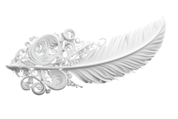 Ornate white feather with swirling patterns isolated on transparent background. White feather with intricate design isolated on a white background.