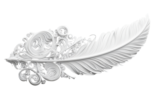 Ornate white feather with swirling patterns isolated on transparent background. White feather with intricate design isolated on a white background.