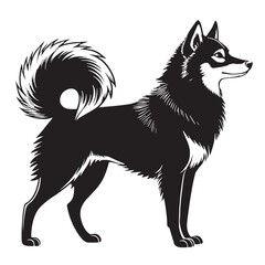 black alaskan kleekai  Silhouette Vector, High Quality Illustration on White Background