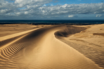 Te Paki Sand Dunes in the Tasman sea in New Zealand.