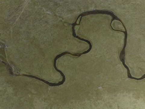 Aerial view of a sinuous river snaking through a vast expanse of green grassland, its dark waters contrasting sharply with the surrounding verdant landscape, Turgen, Uvs, Mongolia.