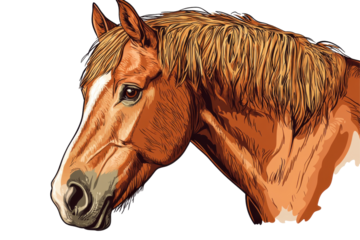 Geometric style horse head portrait isolated on transparent background. Brown horse isolated on white background.