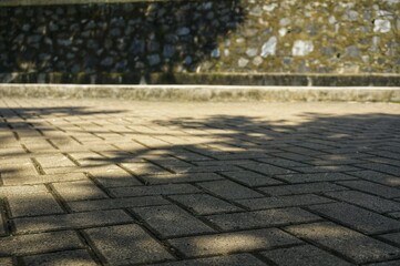 Fototapeta premium A high-resolution photo of an interlocking paving block pattern, ideal for urban design backgrounds, construction presentations, or real estate marketing. Its symmetrical, clean texture.