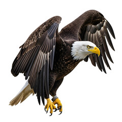 Majestic bald eagle in flight, wings spread wide, isolated on transparent background, showcasing its powerful predatory nature and iconic american symbolism