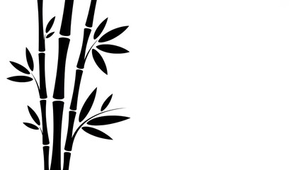 Black Branch of bamboo with leaves silhouette on white Background