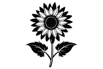 Bold sunflower presents a monochrome floral with clear stem and foliage on white