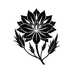 Intricate black and white floral illustration with detailed petals and leaves