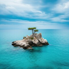 tree on the shore of lake