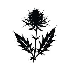 Detailed silhouette of a spiky thistle flower with jagged leaves