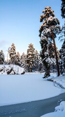 Frozen lake in a snow-covered pine forest at sunrise