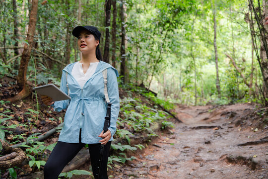 Female biologist hiking and studying tropical forest with tablet and trekking pole