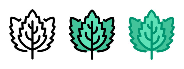 Mint leaves icon. Mint leaf, line and fill icon. Outline, filled, and color versions. Vector illustration with editable stroke. Isolated on transparent background.