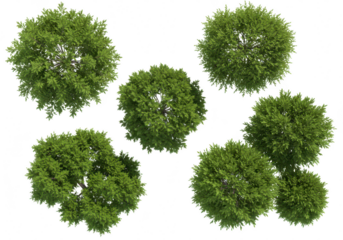 Top view of several green trees and bushes, isolated on transparent background