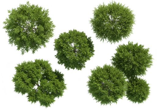 Top view of several green trees and bushes, isolated on transparent background