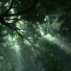 Fototapeta premium Sunbeams pierce a dense canopy of green leaves, illuminating the forest floor