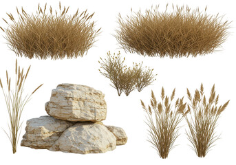 Collection of dry grass plants and rocks, isolated on transparent background