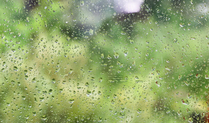 rain water drops on the window glass with green background blurry.