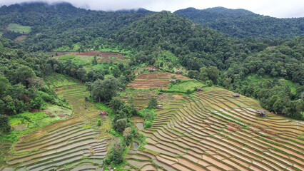 Aerial landscape view of rice terrace and mountain views