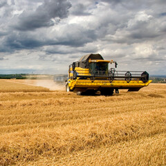 Combine Harvester working in Cornfield England