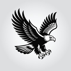 Bald eagle with wings spread in flight bird flying