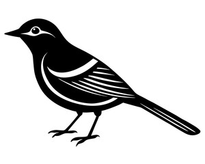 bird on a branch
