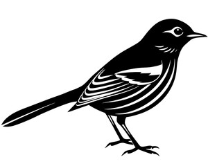 vector illustration of a bird