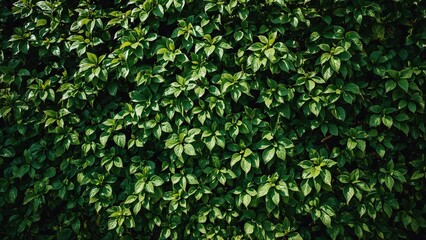 Set showcasing leafy foliage spread over a verdant background, representing spring and summer greenery