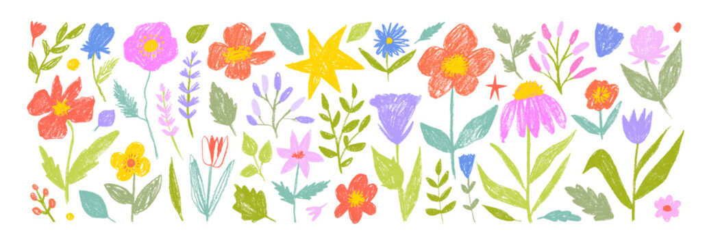 Funky childish crayon drawn flowers, meadow plants and stems.