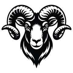vector illustration of a sheep